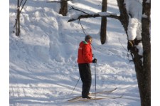 Семейная лыжная прогулка